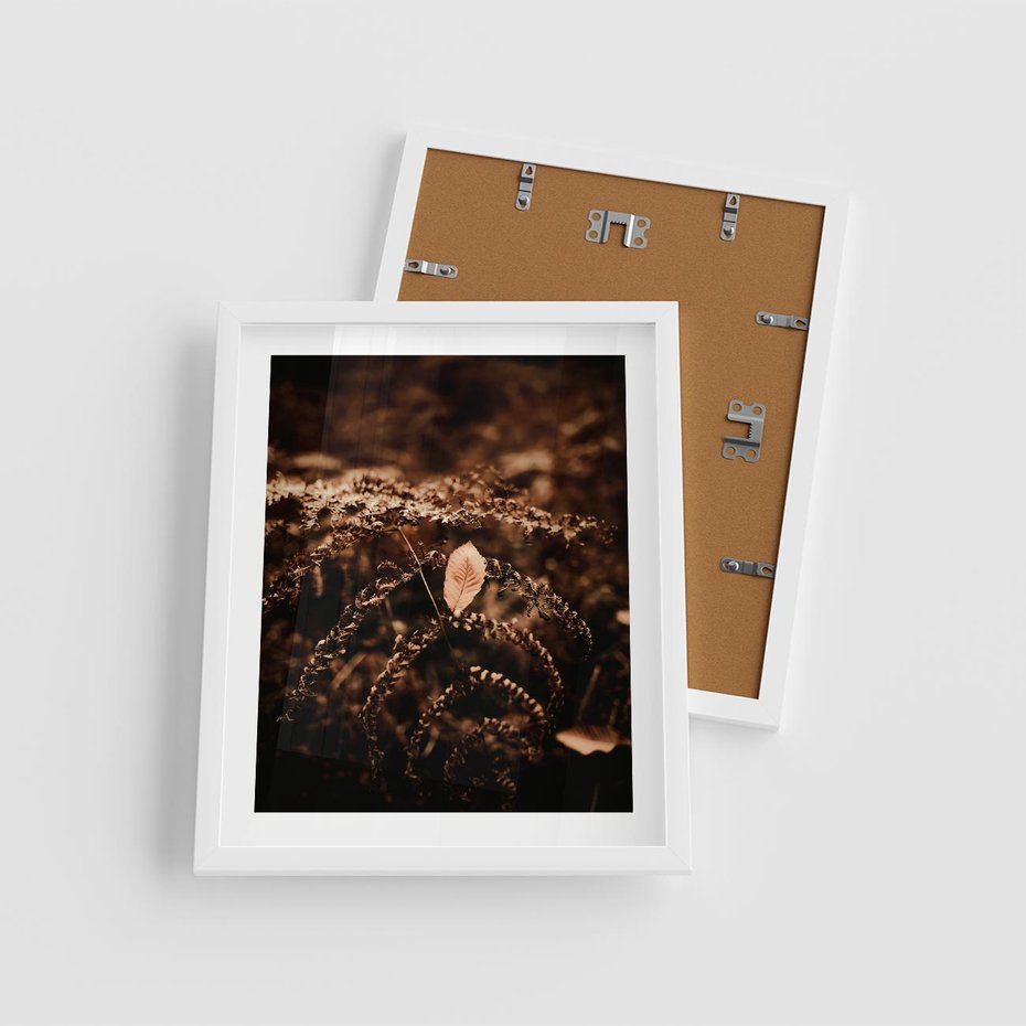 Plakat w ramie 40x50 - Gałęzie i Liść w Brązowej Tonacji - suche gałęzie, liść - rama biała
