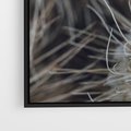 Obraz w ramie 100x70 - Ulotna Piękność Natury - makro, dmuchawce - rama czarna