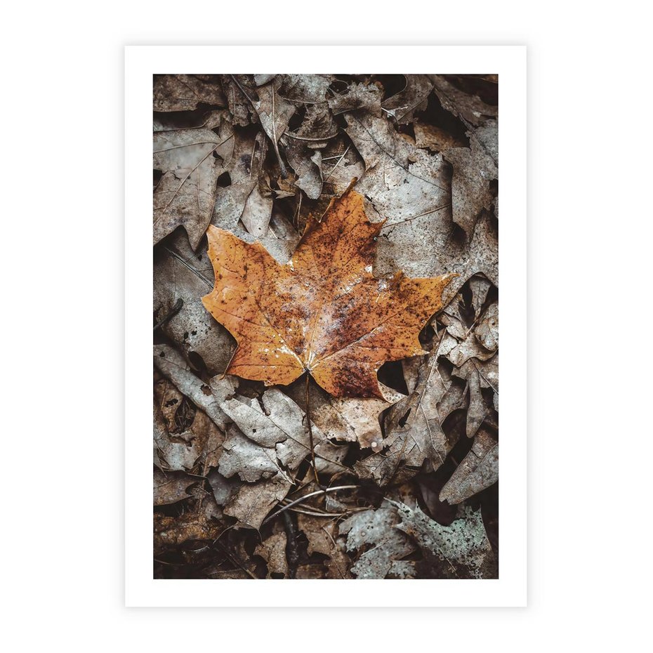 Plakat bez ramy 40x50 - Jesienne Czarowanie - suchy liść, żółty