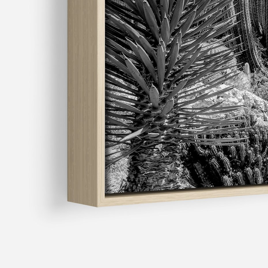 Obraz w ramie 80x120 - Pustynny Klimat - czarno białe zdjecie, pustynia - rama drewno