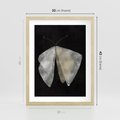 Plakat w ramie 30x40 - Obce Powidoki - abstrakcyjna ćma, mroczna atmosfera - rama drewno