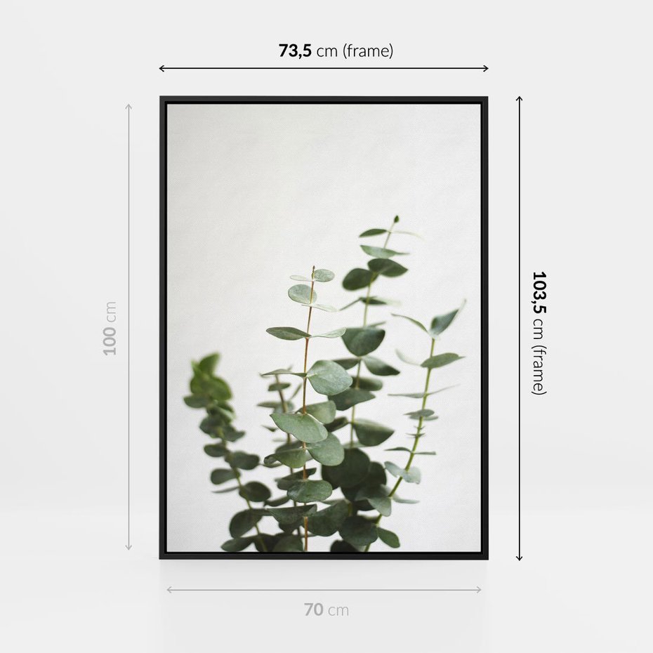 Obraz w ramie 70x100 - Żywa eukaliptusowa zieleń - eukaliptus, zielone - rama czarna