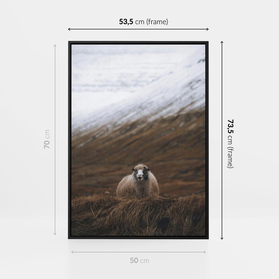 Obraz w ramie 50x70 - Owiecka panorama - góry, owca - rama czarna