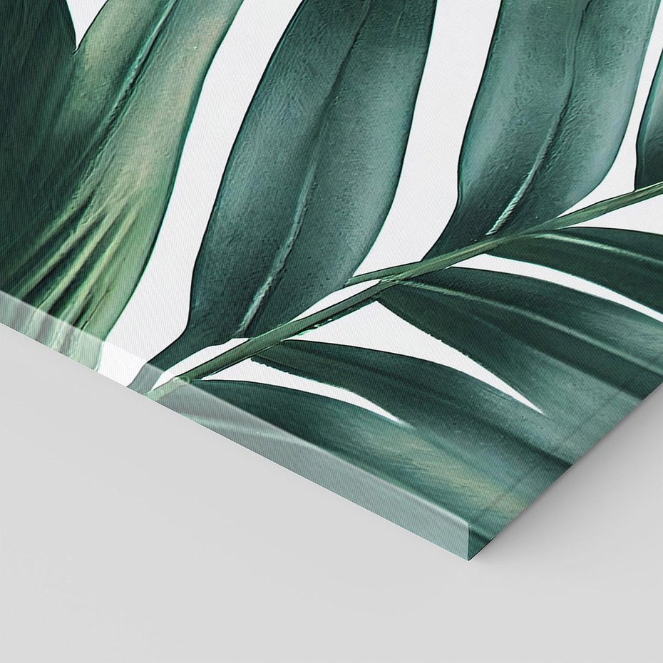 Obraz na płótnie 100x50 - Ruchome liście czasu - liście palmy, tropikalne