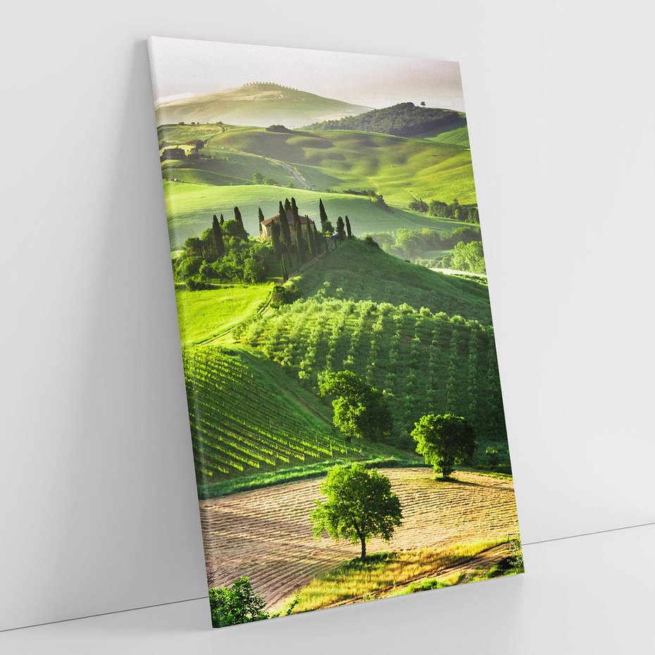 Obraz na płótnie 80x120 - Prowansja: malownicze winnice w kraju Włoch - Prowansja, Włochy