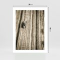 Plakat bez ramy 30x40 - Sepia na Polu - kombajn, pole