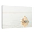Obraz na płótnie 120x80 - Spokój Plaży - fotografia, biała muszla na plaży