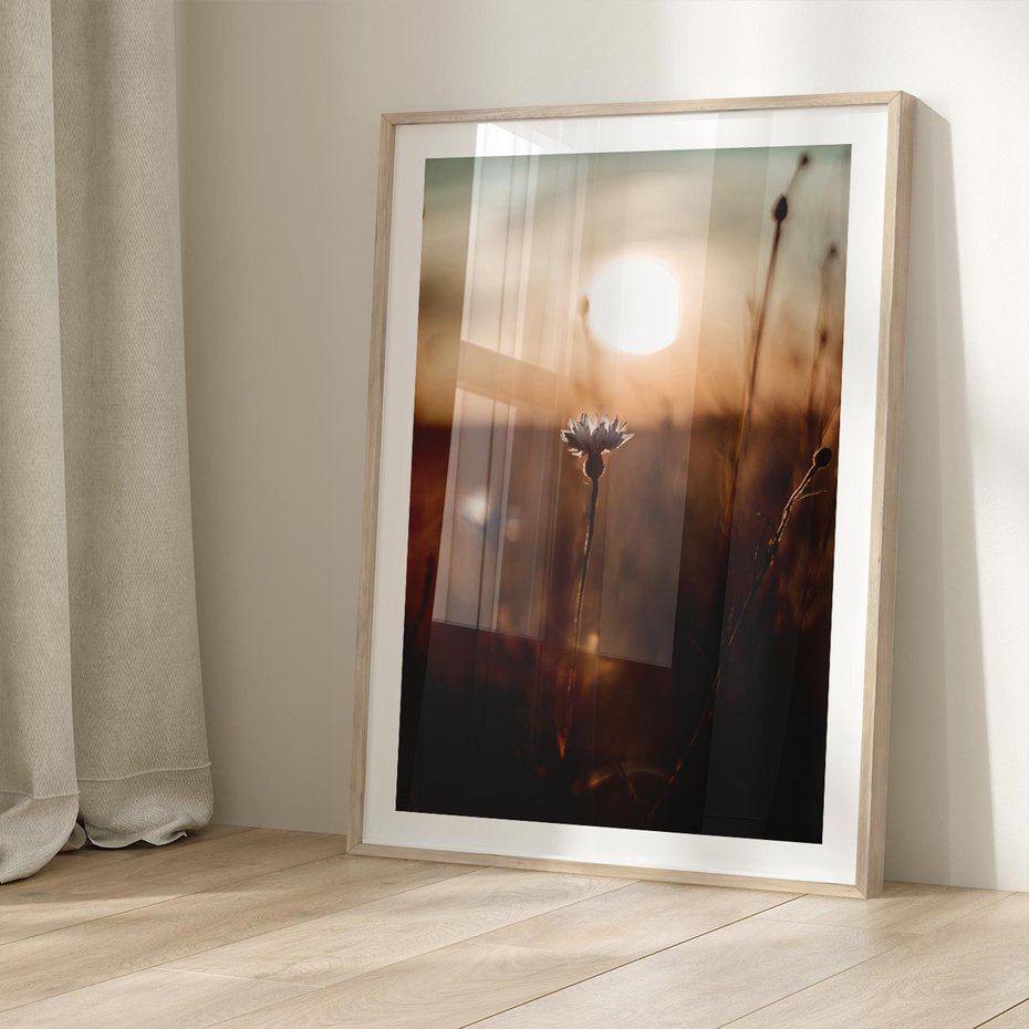 Plakat w ramie 30x40 - Spokój łąki pod zachodem słońca - zachód, słońca - rama drewno