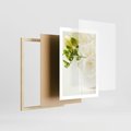 Plakat w ramie 50x70 - Subtelność białych frezji - frezja, białe - rama drewno