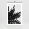 Plakat bez ramy 21x30 - Czas Zapomnienia - palmy, czarno biała fotografia