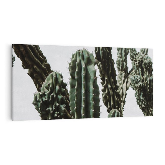 Obraz na płótnie 100x50 - Boho oaza wśród kaktusów - kaktusy, pustynia
