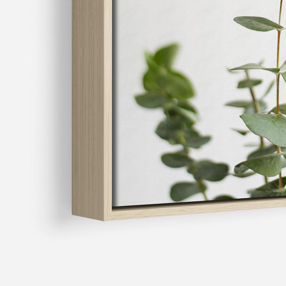 Obraz w ramie 50x50 - Żywa eukaliptusowa zieleń - eukaliptus, zielone - rama drewno