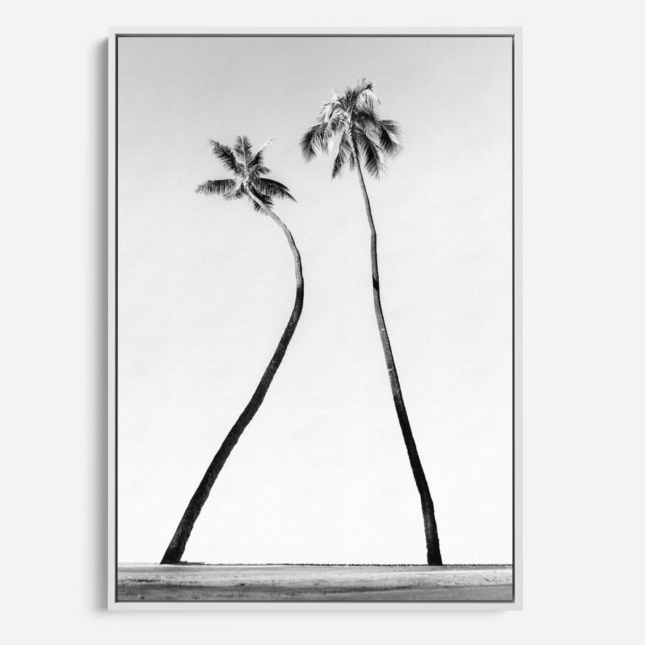 Obraz w ramie 80x120 - Samotne Palmy - czarno biała fotografia, dwie samotne palmy - rama biała