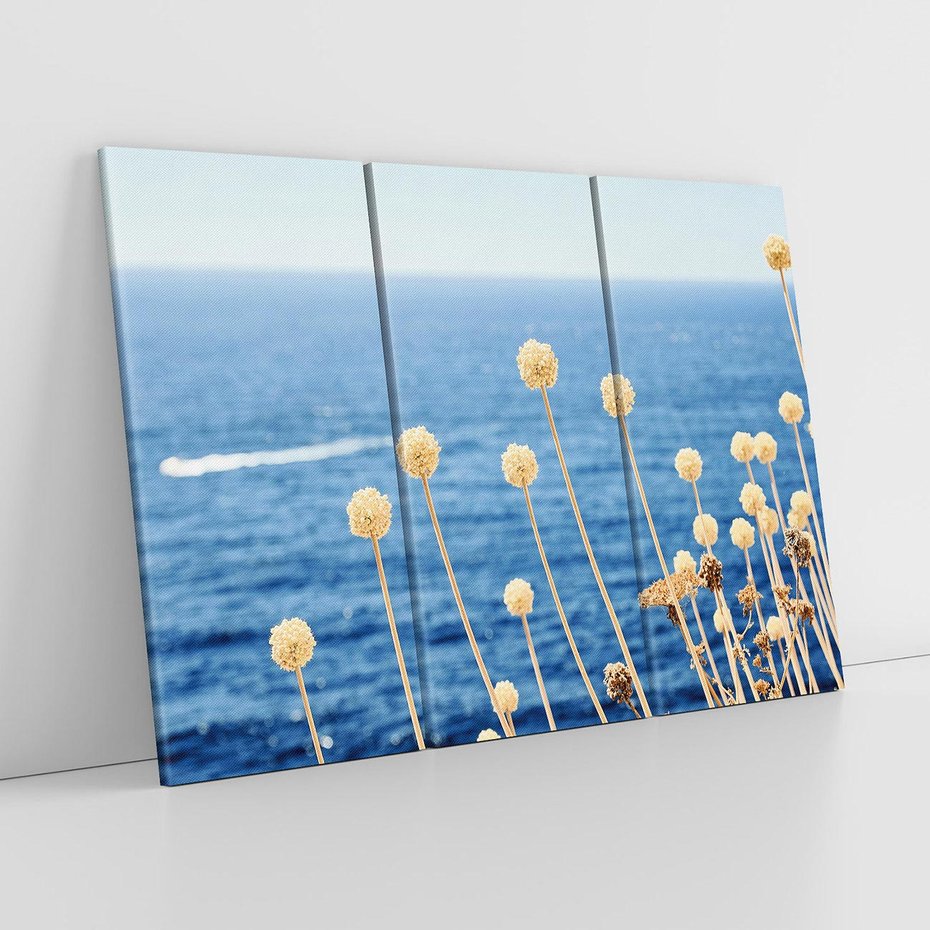 Obraz na płótnie 120x80 - Kontrasty Natury - fotografia, pierwszy plan sucha roślinność