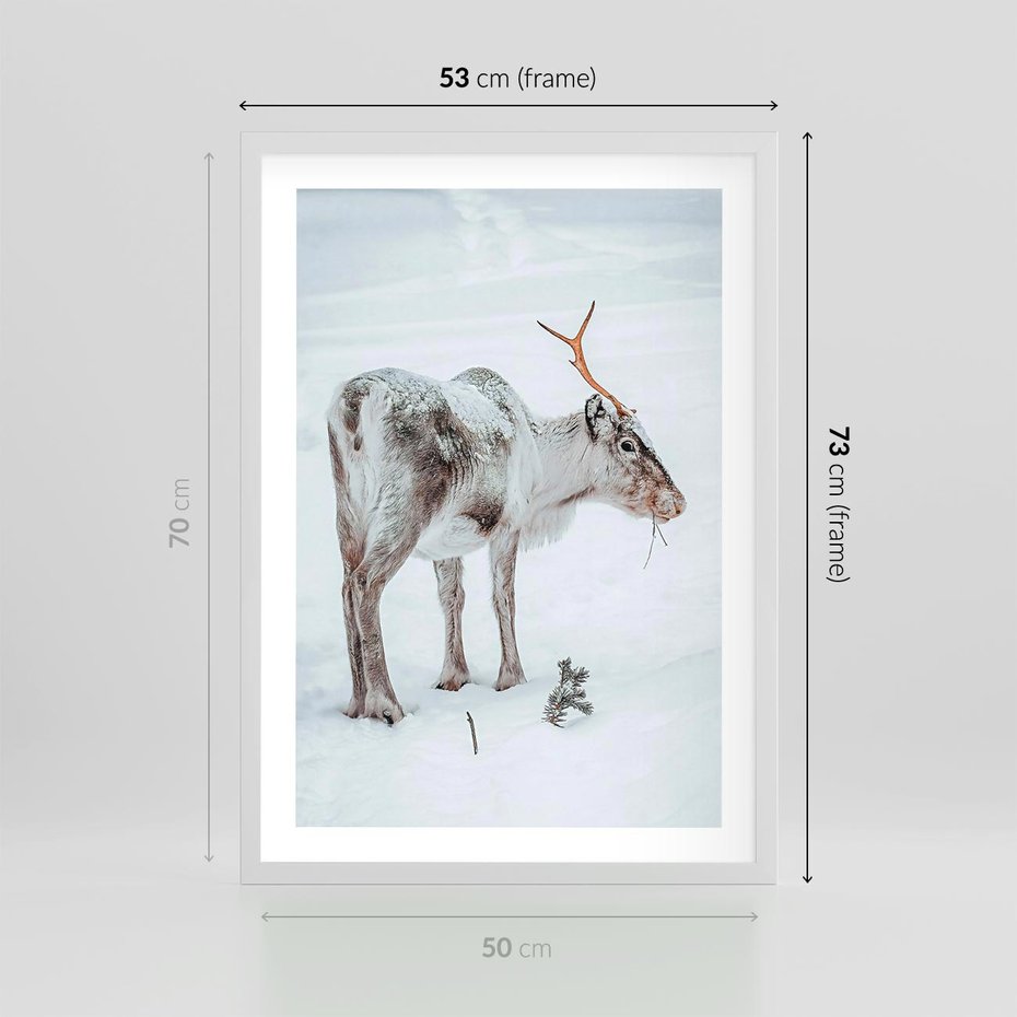 Plakat w ramie 50x70 - Magia Świąt - renifer na śniegu, śnieg - rama biała