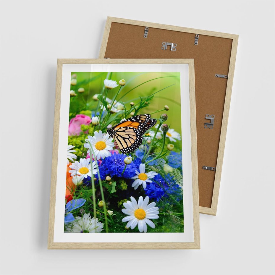 Plakat w ramie 50x70 - Kwiatowy Taniec - motyl, kwiaty - rama drewno