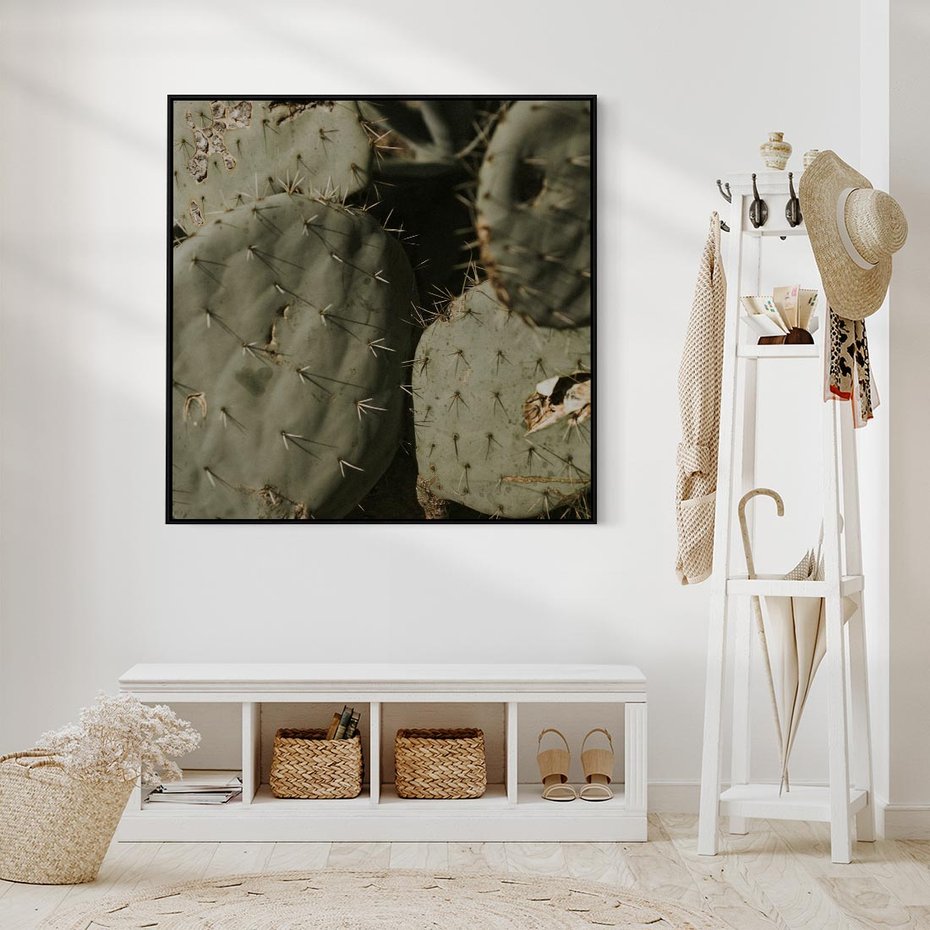 Obraz w ramie 50x50 - Urok Egzotyki - kaktusy, boho - rama czarna