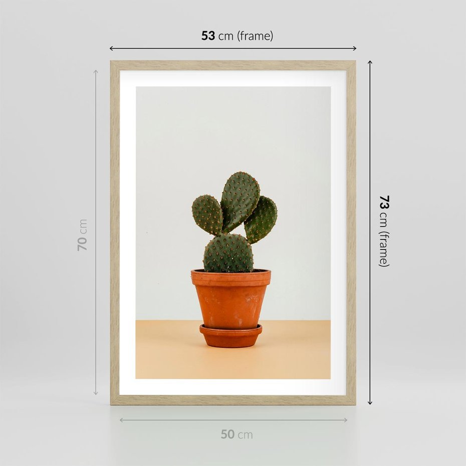 Plakat w ramie 50x70 - Kwiatowy taniec kaktusa - kaktus, kwiat - rama drewno