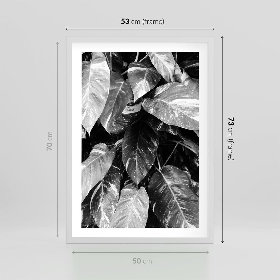 Plakat w ramie 50x70 - Liście w Czarno-Białej Fotografii - liście, roślina - rama biała