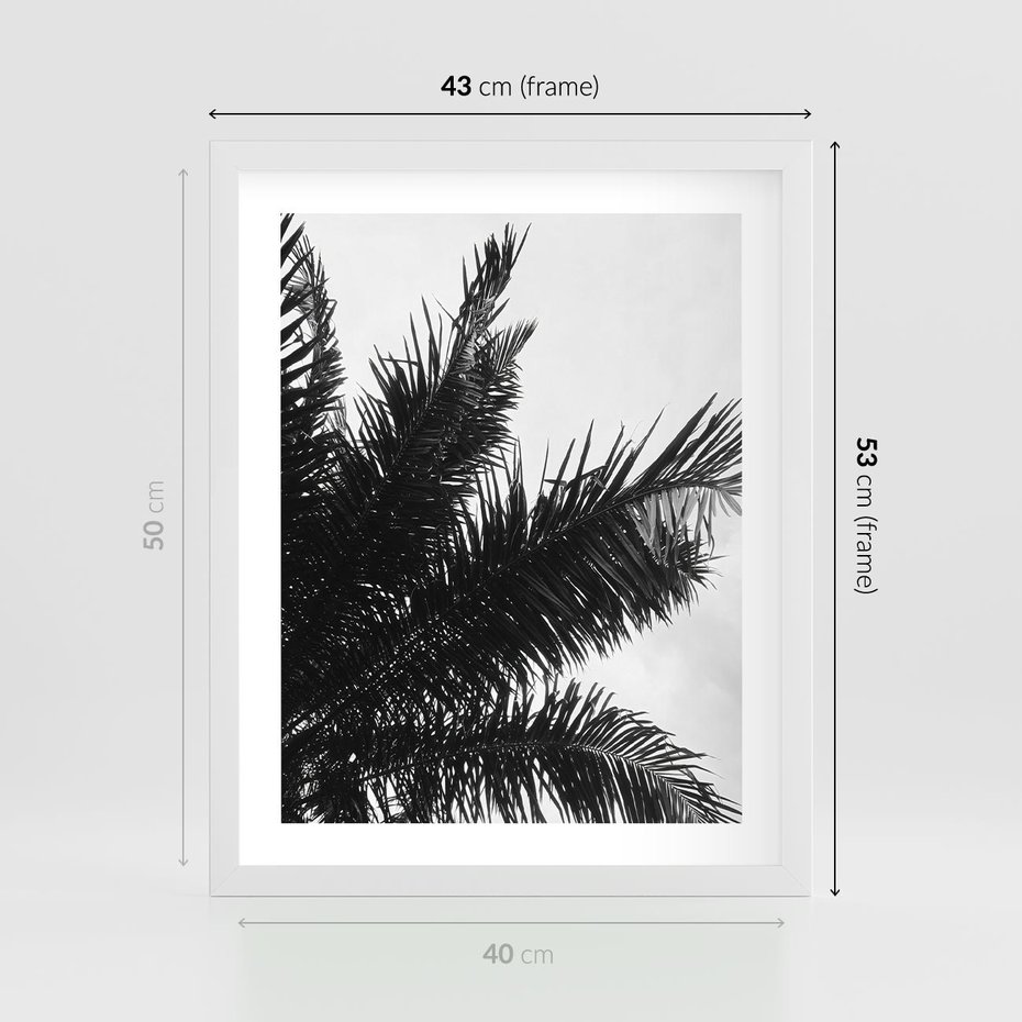 Plakat w ramie 40x50 - Czas Zapomnienia - palmy, czarno biała fotografia - rama biała