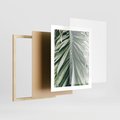 Plakat w ramie 40x50 - Spokojna Piękność Palmowych Liści - palma, liście palmy - rama drewno