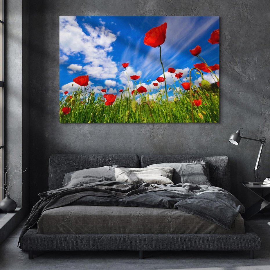 Obraz na płótnie 70x50 - Soczyste Kolory Przyrody - mak, maki