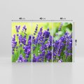 Obraz na płótnie 120x80 - Elegancka lawenda w pełnym rozkwicie - lawenda, kwiaty