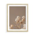 Plakat w ramie 50x70 - Przezroczyste piękno - gipsówka, suche - rama drewno
