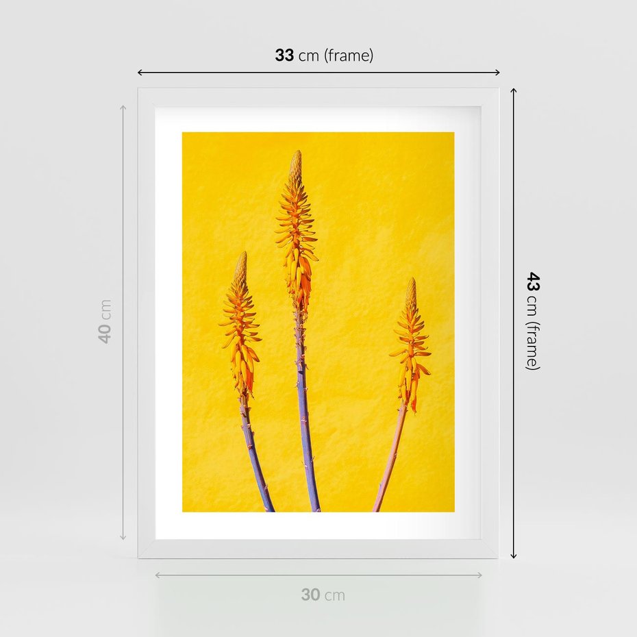 Plakat w ramie 30x40 - Radość Natury - kolor, kwiaty - rama biała