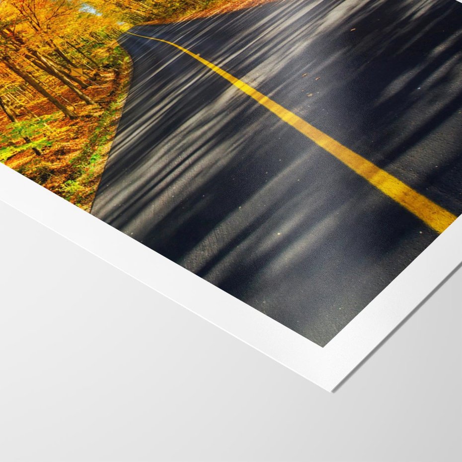 Plakat bez ramy 21x30 - Droga przez jesienny las - droga, las