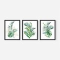 Zestaw obrazy w ramie 40x50 galeria - Liście, monstera, palma, złote, akwarele - rama czarna