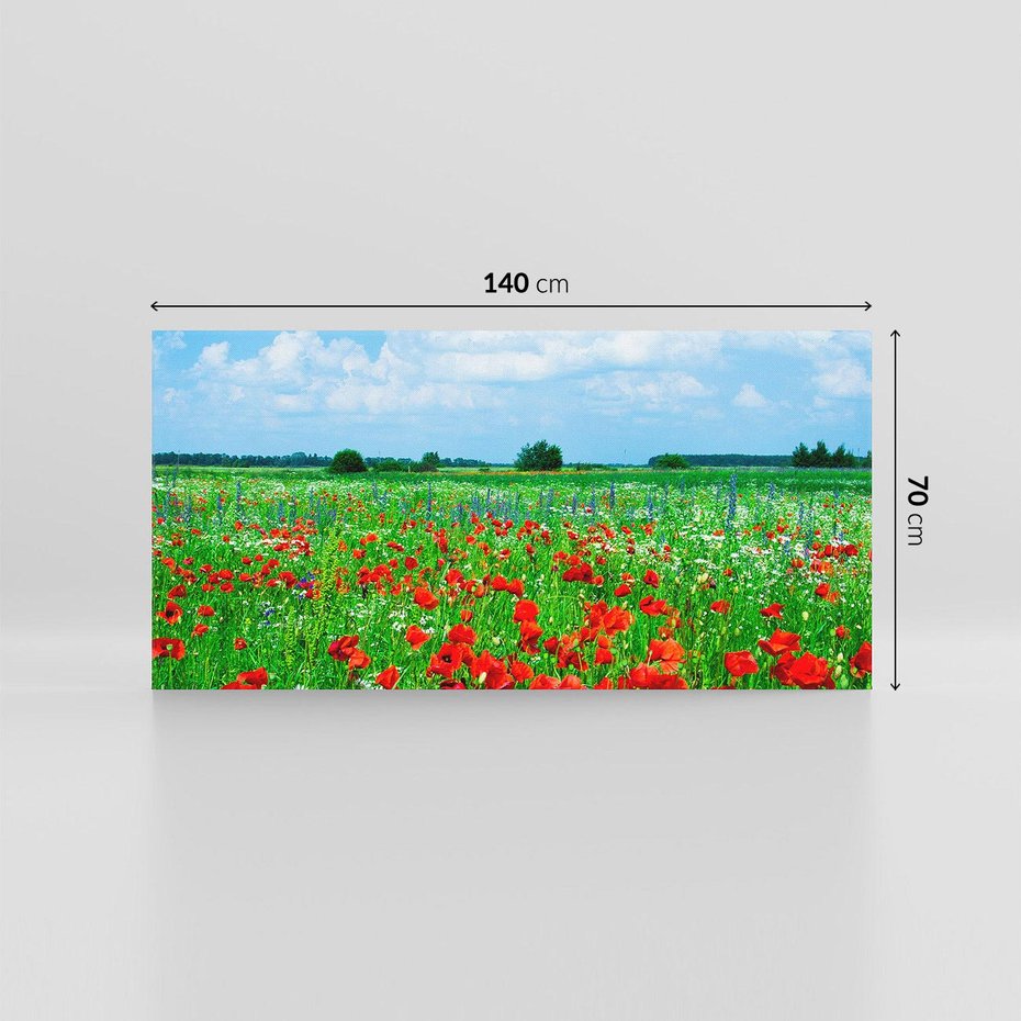 Obraz na płótnie 140x70 - Kolorowa łąka pełna maku - łąka, maki