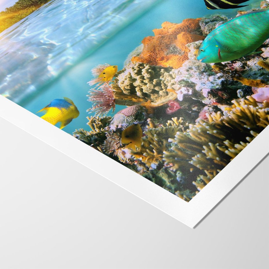 Plakat bez ramy 50x70 - Rafa Koralowa - Podwodne Cuda - rafa, koralowa