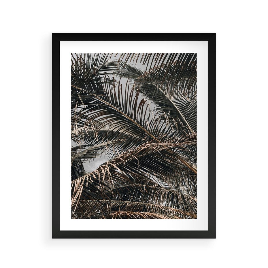 Plakat w ramie 40x50 - Liściaste Palmy - palmy, drzewa palmowe - rama czarna