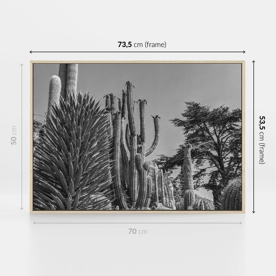 Obraz w ramie 70x50 - Pustynny Klimat - czarno białe zdjecie, pustynia - rama drewno