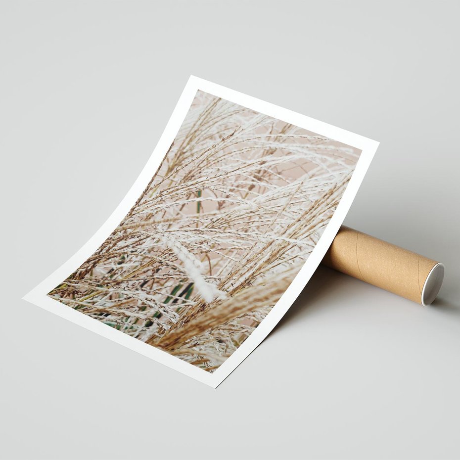 Plakat bez ramy 21x30 - Beżowa Trawa - suche trawy, zbliżenie