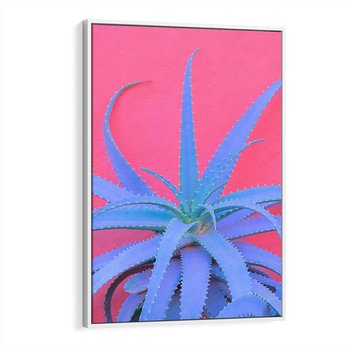 Obraz w ramie 50x70 - Piękno Pustyni - kaktusy, liście - rama biała