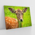 Obraz na płótnie 120x80 - Sarna na łące - sarna, zwierzę