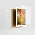 Plakat w ramie 30x40 - Złote barwy jesiennego lasu - las, jesień - rama biała