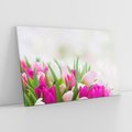 Obraz na płótnie 120x80 - Tulipany w pełnym rozkwicie - tulipany, kwiaty