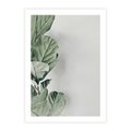 Plakat bez ramy 21x30 - Minimalistyczna Harmonia: Zieleń Liści - zieone liście, kompozycja