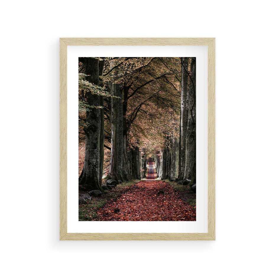 Plakat w ramie 30x40 - Spacer po Leśnej Drodze - ścieżka w lesie, jesień suche liście - rama drewno