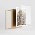 Plakat w ramie 50x70 - Letni Plon - zboże, kłosy zboża - rama drewno