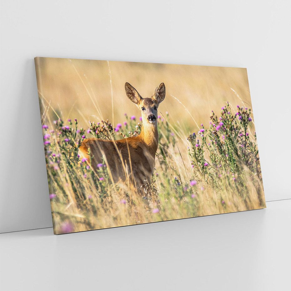 Obraz na płótnie 120x80 - Sarenka na malowniczej łące - sarna, sarenka