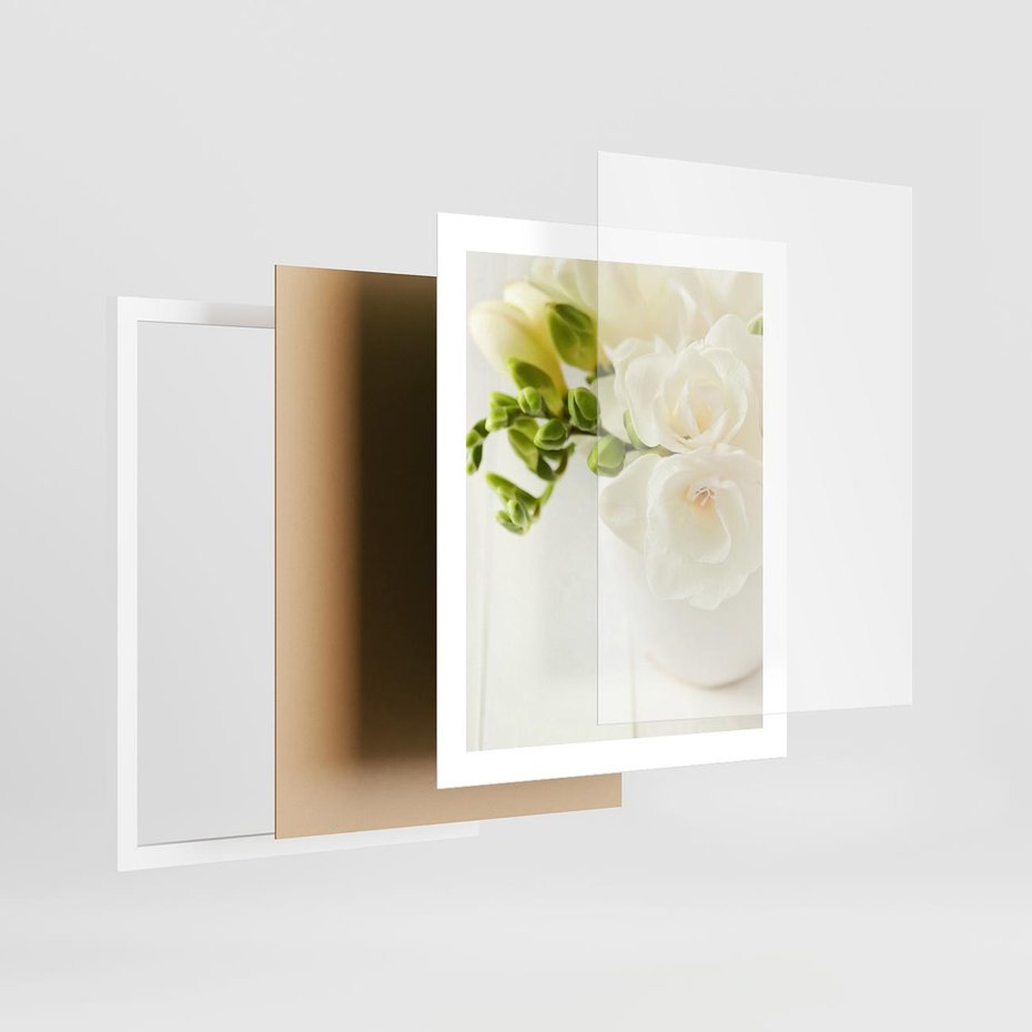 Plakat w ramie 40x50 - Subtelność białych frezji - frezja, białe - rama biała