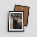 Plakat w ramie 30x40 - Spokojny jeleń - jeleń, las - rama czarna