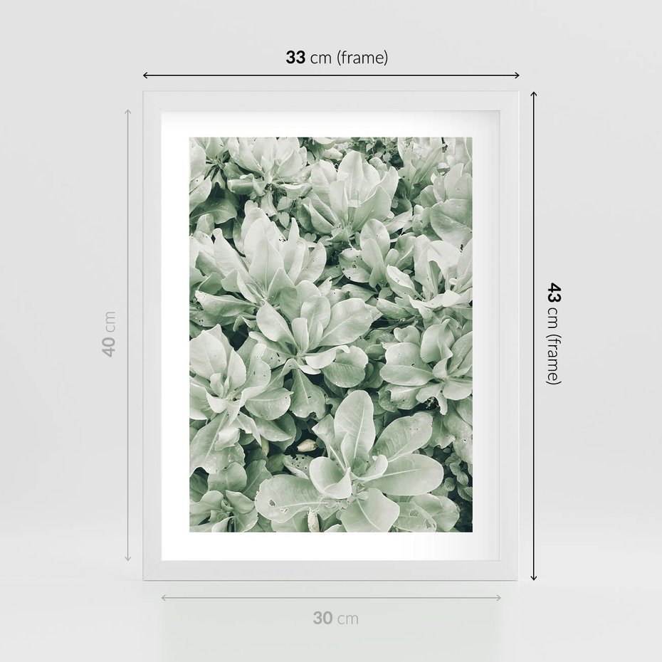 Plakat w ramie 30x40 - Liście w Jasnych Odcieniach Zielonego - liście, jasna zieleń fotografia - rama biała