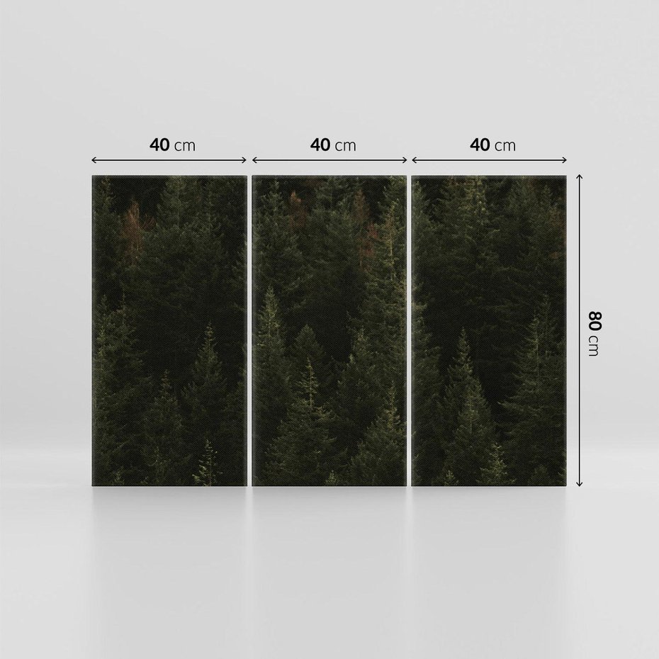 Obraz na płótnie 120x80 - Ciemny las iglasty - las, iglasty