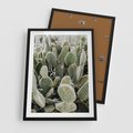Plakat w ramie 50x70 - Kaktusowa Harmonia - kaktusy, fotografia - rama czarna