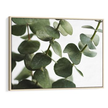 Obraz w ramie 120x80 - Zielone eukaliptusy - eukaliptus, liście - rama drewno
